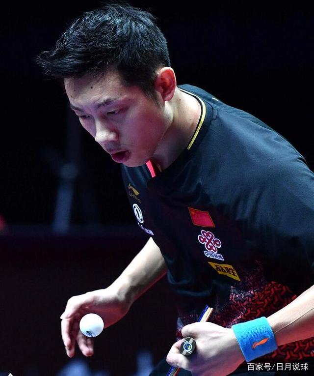 森林的比赛 森林的比赛