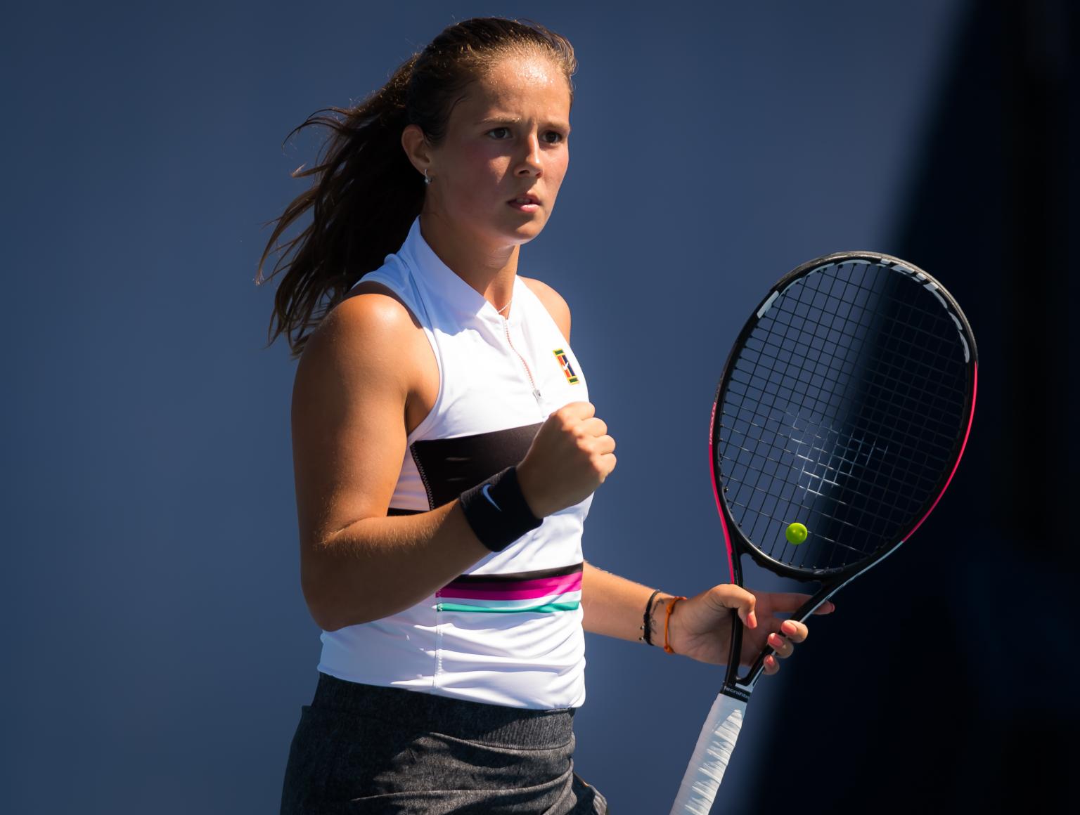 室内球场参 室内球场参