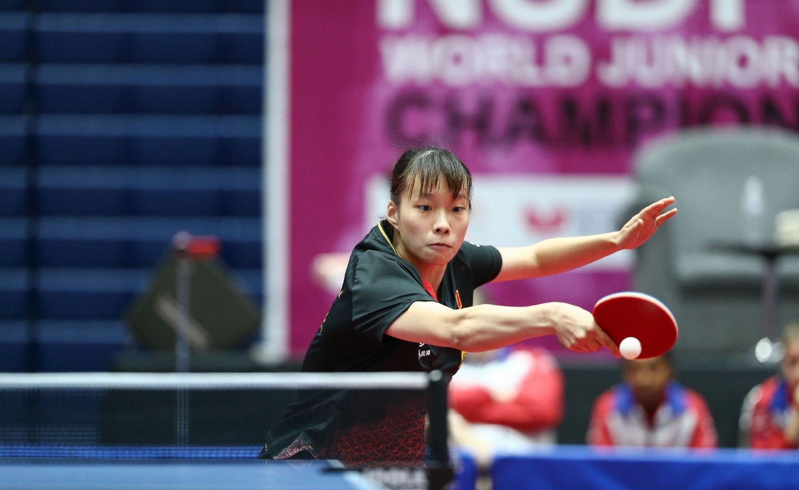 头部队伍 头部队伍