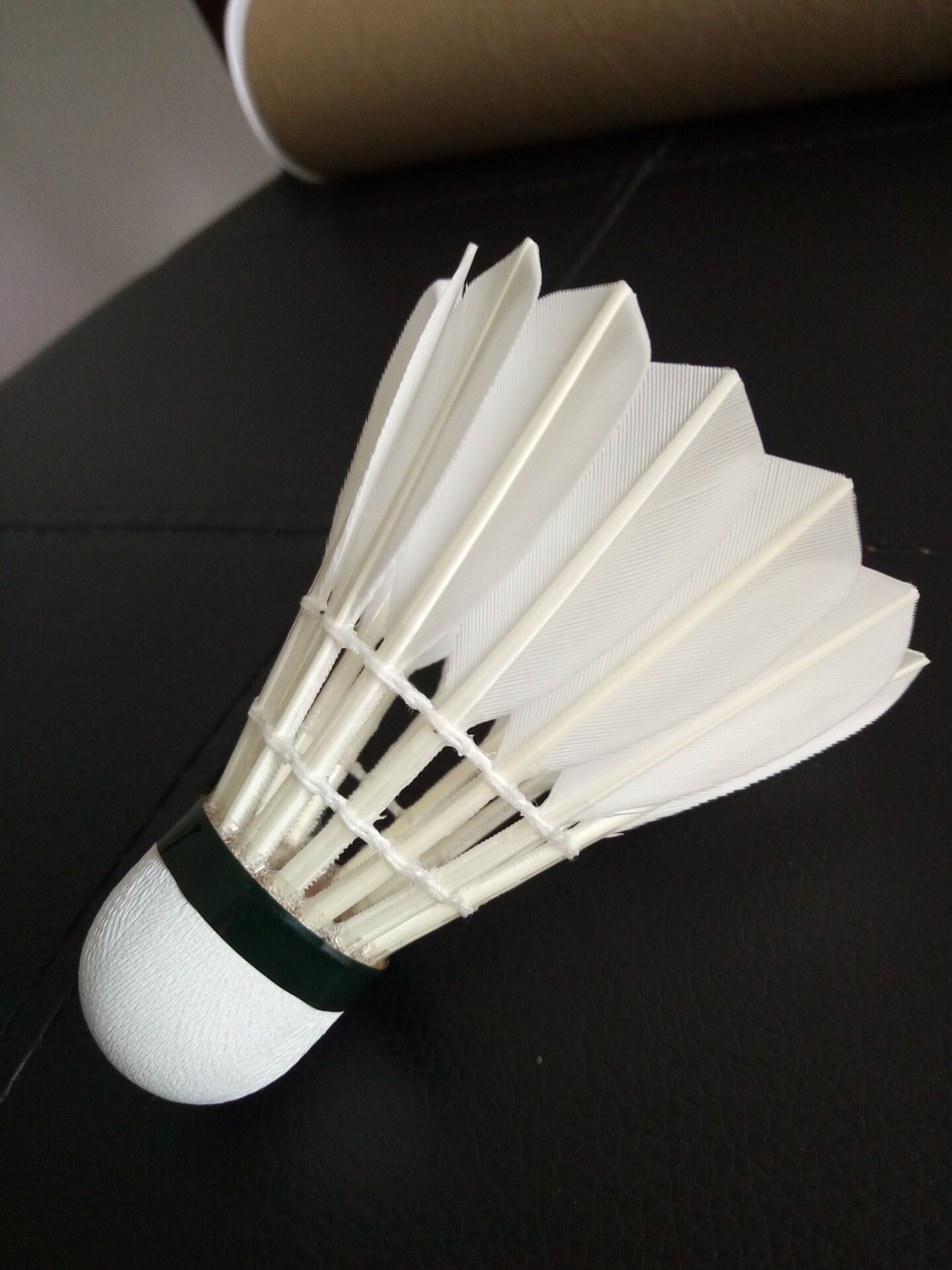 同在联盟中 同在联盟中